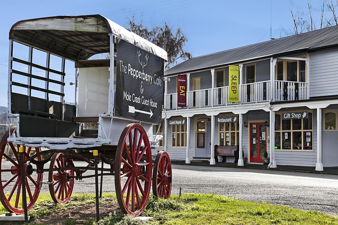 Mole Creek Guesthouse Eksteriør bilde