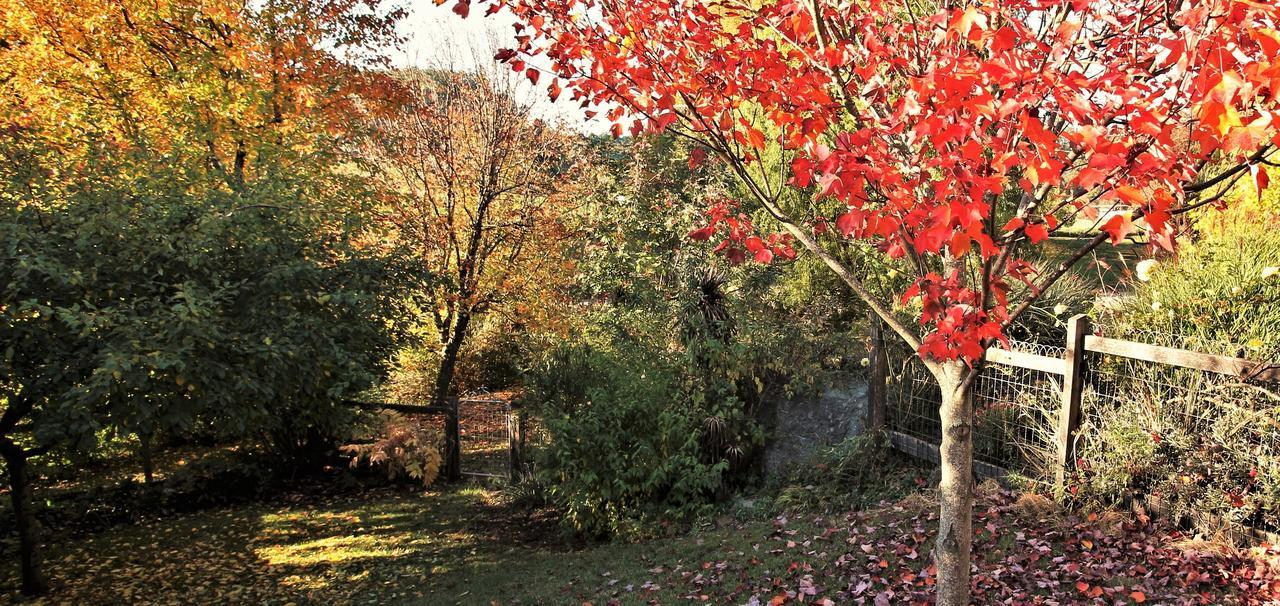 Mole Creek Guesthouse Eksteriør bilde